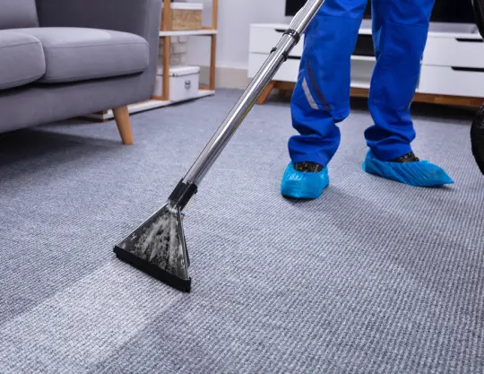 carpet cleaning carpet cleaning